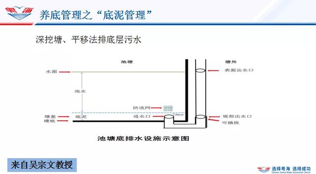 干货！24年专攻草鱼！实战派分享独家经验，养好草鱼，瓜分红利