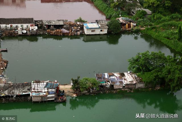 水产养殖中光补钙没用？这种元素同样不能忽视，否则钙是白补！