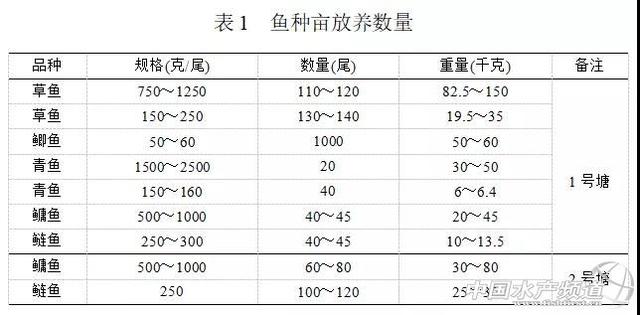 环保风暴下，常规鱼养殖采用这套生态自净养殖模式能做到经济效益和生态效益双赢