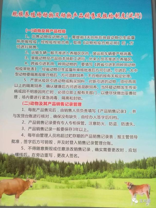 规模化蛋鸡养殖场各种规章规模