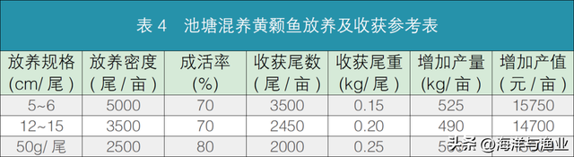 黄颡鱼商品鱼养殖技术要点