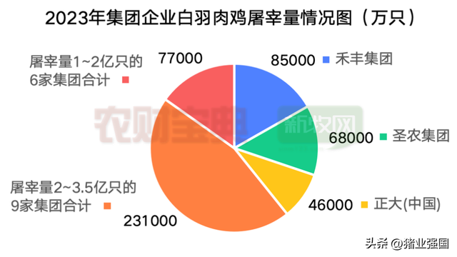 12家上市禽企PK：温氏、圣农、立华2023禽板块营收均超百亿元