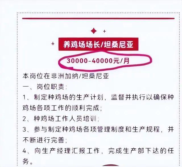 追热点丨冲上热搜！青岛一企业月薪4万招人养鸡？真的！但要求……