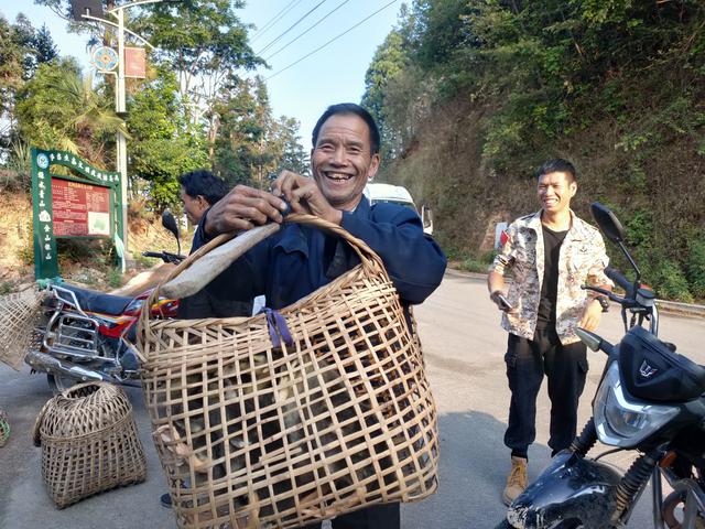 “梯田鸭”焕新云南红河农户生活，上海集中推介对口地区特色商品