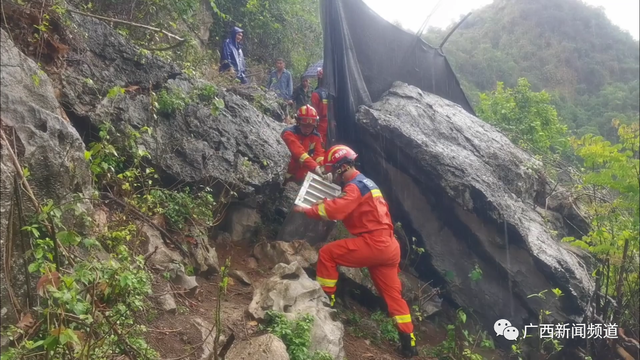 广西百色蟒蛇出没！被发现时已咬死村民家中一只山羊