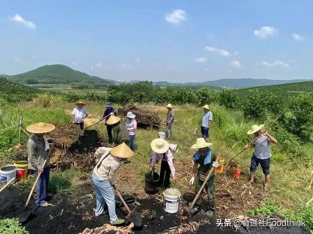 告诉我们，你需要怎样的生态农业技术培训？