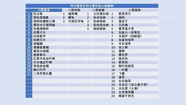 科普丨四川外来入侵物种大盘点