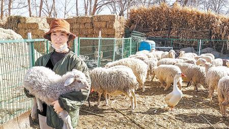 春绿千里陇原 播种幸福生活