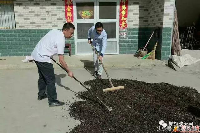 郧西河夹：“一村多”学成归来养虫子市场前景广阔