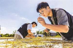 重庆养殖基围虾(江津这个小山村，为何能引来15位年轻人创业)