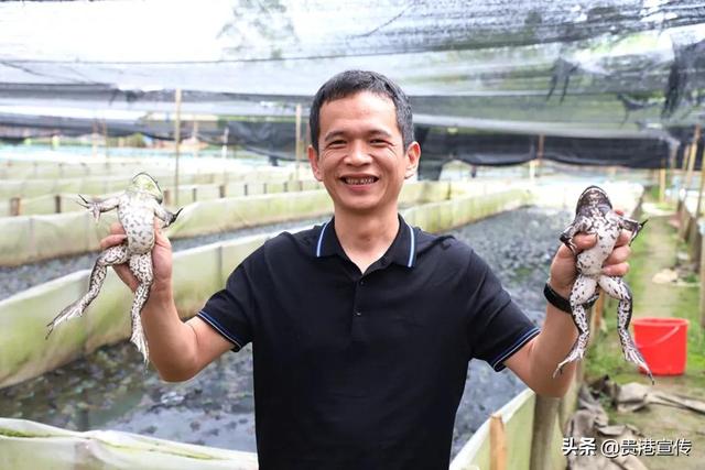 厉害！贵港这个村打造了产值3亿元的大产业