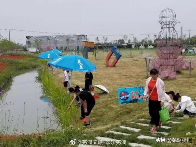 龙虾免费钓！大鱼免费捉！芜湖这个地方即将挤满人人人