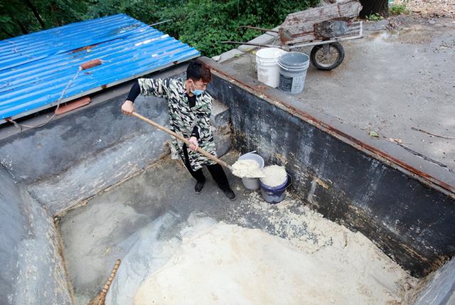 济南90后小伙养45只梅花鹿年入14万，“鹿的主食是豆腐渣，每月伙食费4500元”