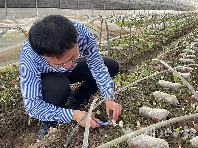 谷城石井冲村：航空新村火起来