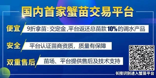 秒懂，死水塘养鱼技术，看这篇就够了