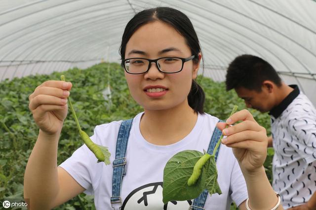 许昌这些地方靠养虫子致富，这样的大青虫据说能吃还营养丰富