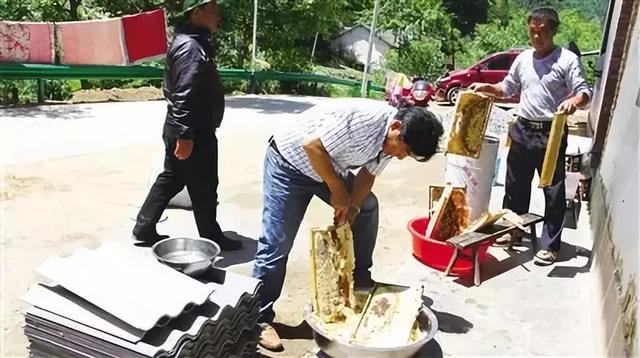 “小蜜蜂的大作用”——西安市打造秦岭中蜂养殖产业脱贫模式