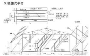 肉牛养殖场规划设计(养牛场设计和建设方案)