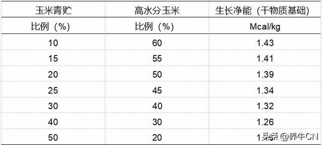 饲养理想的奶公牛