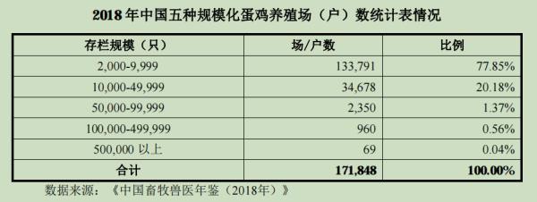 中国蛋鸡40年：四大育种困境待突破，未来20年是黄金期