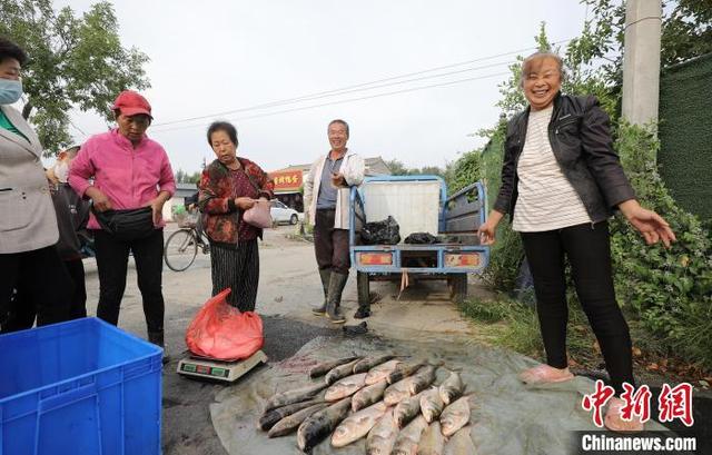 一船一码一证：“京津冀最美湿地”衡水湖开湖捕鱼