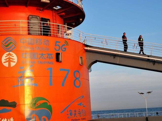 山东深海网箱养殖保险“破冰”海洋牧场不怕风急浪高