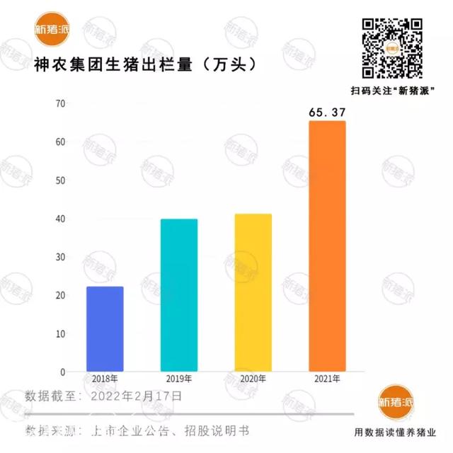 养猪黑马！2021年云南出栏4192万头全国第五，巨头扎堆布局1500万产能