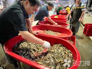 苏州基围虾养殖基地(端午苏州子虾基围虾等集中上市价格下降近五成)