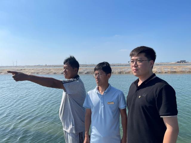 中国人寿财险助力黄河流域高质量发展——黄河口海参养殖也能“上保险”