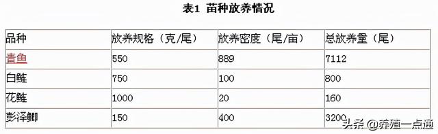 8亩塘口青鱼高密度套养花白鲢，经验总结分享