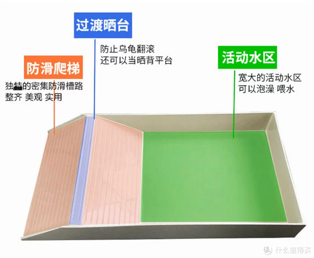 新手养龟必看！轻松上手攻略