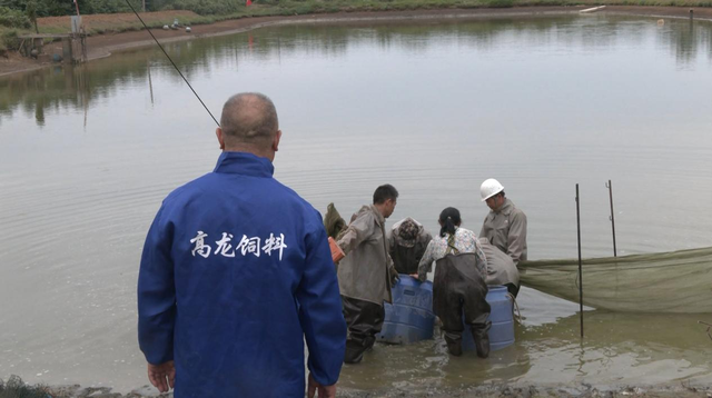 汪丰胜：“四大法宝”组建水产“致富联盟”