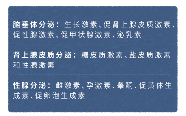 40天出栏的速成鸡，含有大量激素，有害还致癌？不敢吃的人看看吧