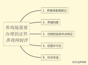 特种养殖证办理(养鸡入门：开办养鸡场需要办理的各项证件及具体步骤分享)