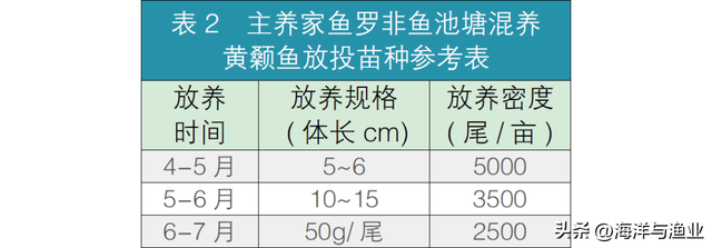 黄颡鱼商品鱼养殖技术要点