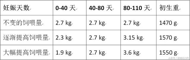 荷兰养猪业的过去、现在、将来，其中我们要学习荷兰养猪的这8点