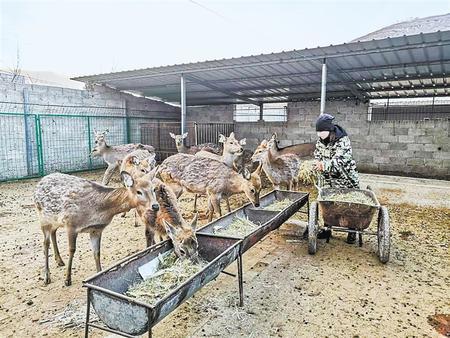 春绿千里陇原 播种幸福生活