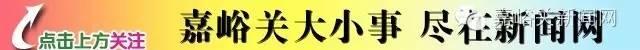 「双促双增·推进乡村全面振兴」养只“怪物鸡”鸡蛋变“金蛋”