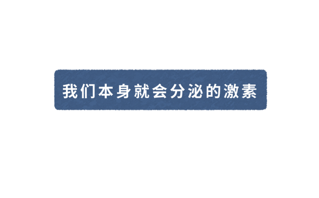 40天出栏的速成鸡，含有大量激素，有害还致癌？不敢吃的人看看吧