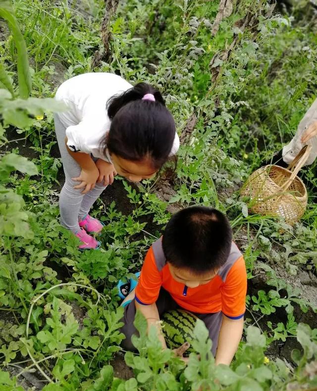 新去处！成都周边这7个亲子农场，满足你的户外出游！五一走起