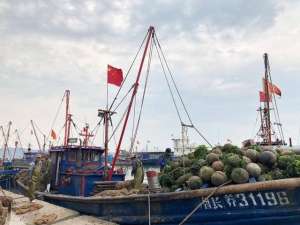 东营海水养殖(山东深海网箱养殖保险“破冰”海洋牧场不怕风急浪高)