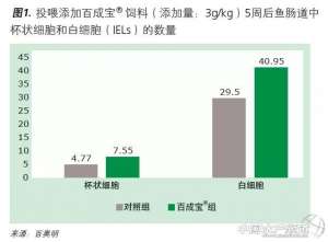 化学与水产养殖(如何让鱼虾提高抗病力，这篇文章讲到点上了)