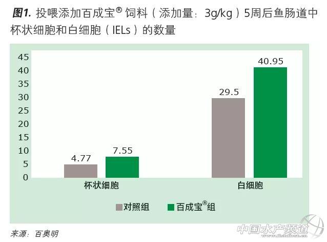 如何让鱼虾提高抗病力，这篇文章讲到点上了