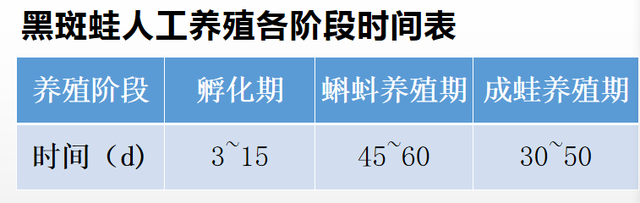 2020，一位青蛙养殖户的独白