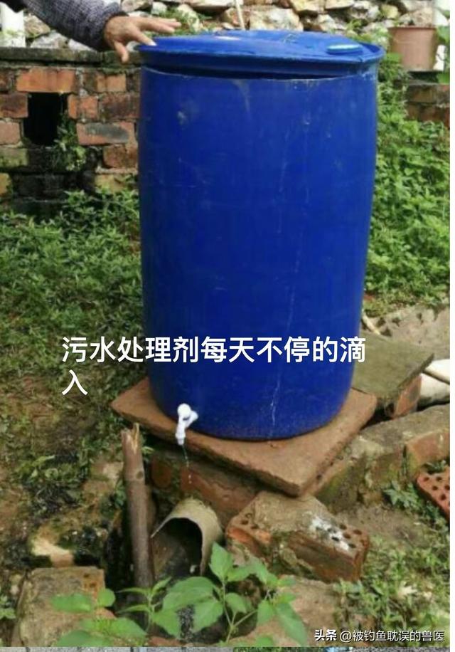 养殖场大量存留的污水臭气熏天、污染环境该如何处理？