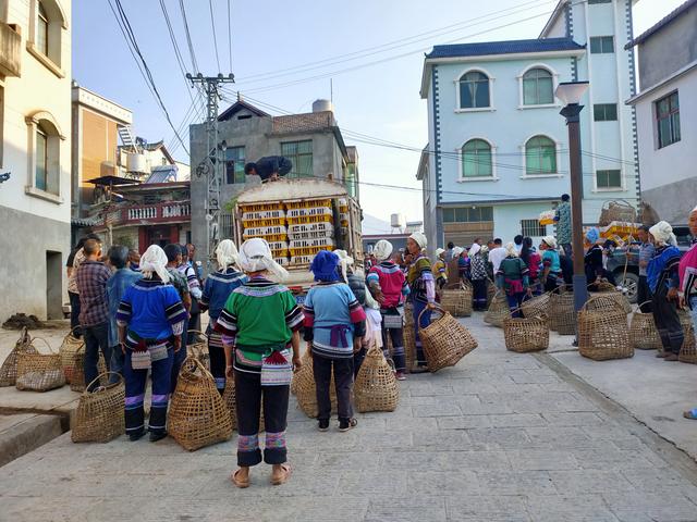 “梯田鸭”焕新云南红河农户生活，上海集中推介对口地区特色商品