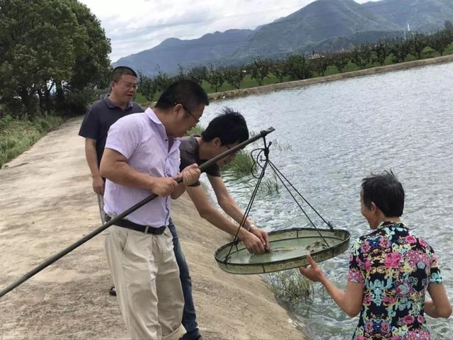 喜讯！富阳这5家渔业基地荣获“浙江省水产健康养殖示范场”称号