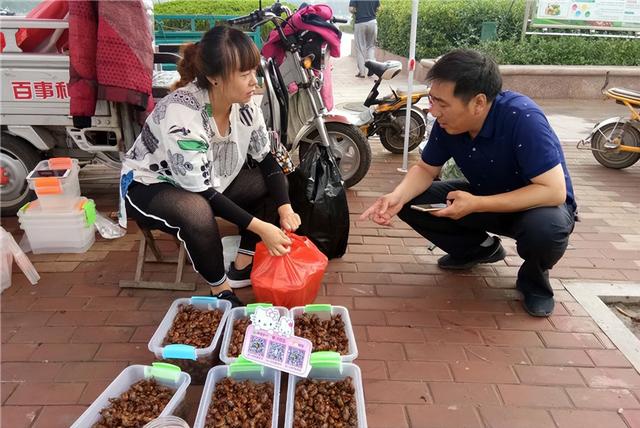 河南男子捉金蝉，日入近千元，背后是“暗流涌动”的金蝉养殖市场