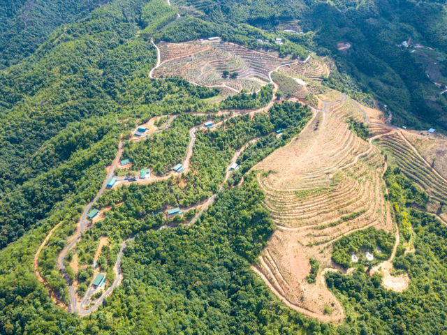 对口帮扶｜年产值达200万元以上！“跑山鸡”跑出脱贫致富路