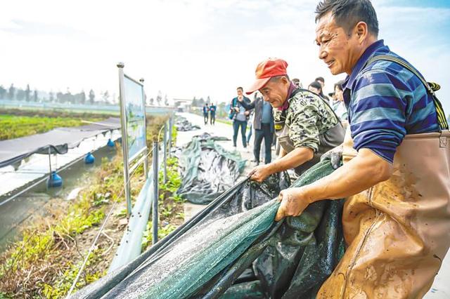 有学历 有思想 有情怀 荆楚新农人挑乡村振兴大梁